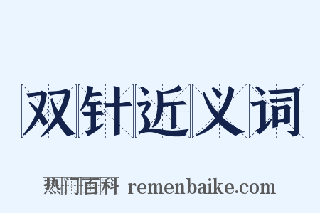 双针近义词是什么意思的图片